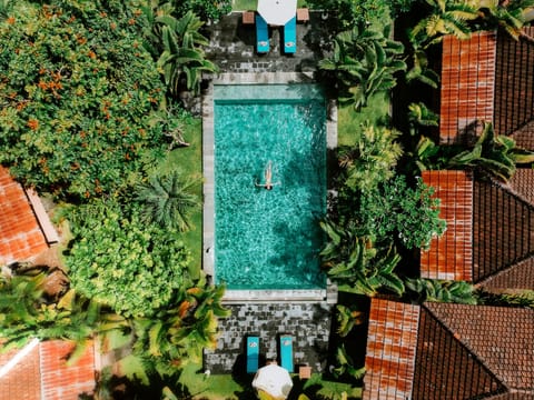 Outdoor pool, sun loungers