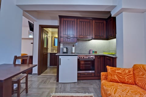 Family Apartment (with Terrace and side Meteora View) | Private kitchen | Fridge