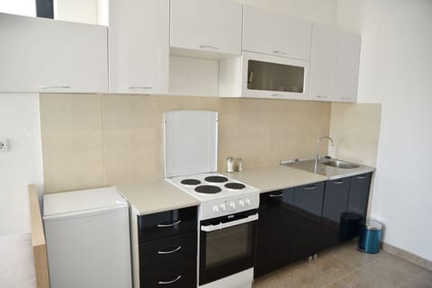 Family Studio | Private kitchen | Full-size fridge, microwave, oven, stovetop