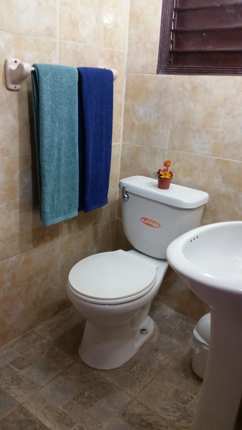 Shower, free toiletries, hair dryer, bidet