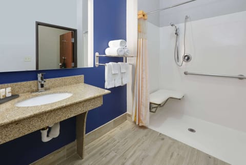 Room, 1 King Bed, Accessible, Non Smoking (Mobility, Hearing, Roll In Shower) | Bathroom | Combined shower/tub, free toiletries, hair dryer, towels