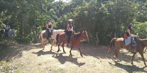 Horseback riding