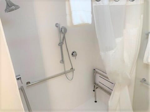 Standard Room, 1 King Bed, Accessible (Mobility, Roll-In Shower) | Bathroom shower