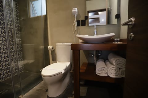 Executive Room, 1 King Bed | Bathroom | Free toiletries, hair dryer, towels, soap