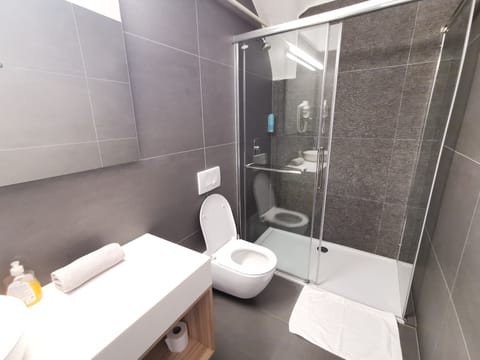 Double Room | Bathroom | Shower, hair dryer, towels, soap