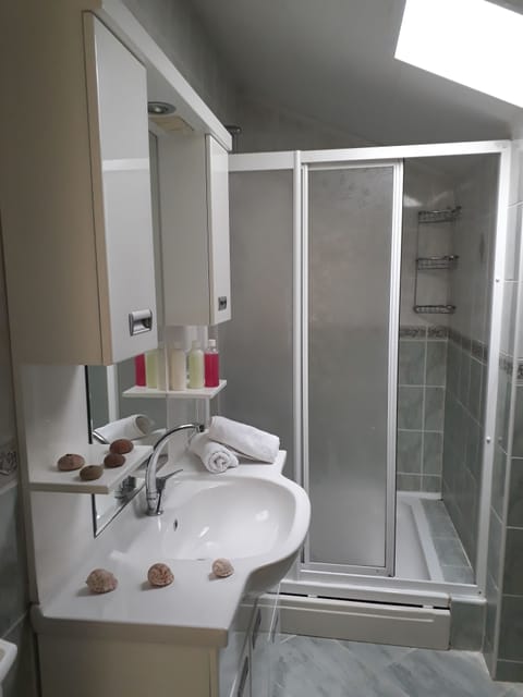 Deluxe Suite | Bathroom | Shower, towels, soap, toilet paper