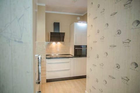 Apartment (50) | Private kitchenette | Fridge, dishwasher, electric kettle, cookware/dishes/utensils