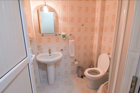 Double or Twin Room | Bathroom | Shower, hair dryer, towels