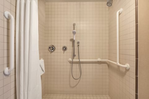 Combined shower/tub, free toiletries, hair dryer, towels