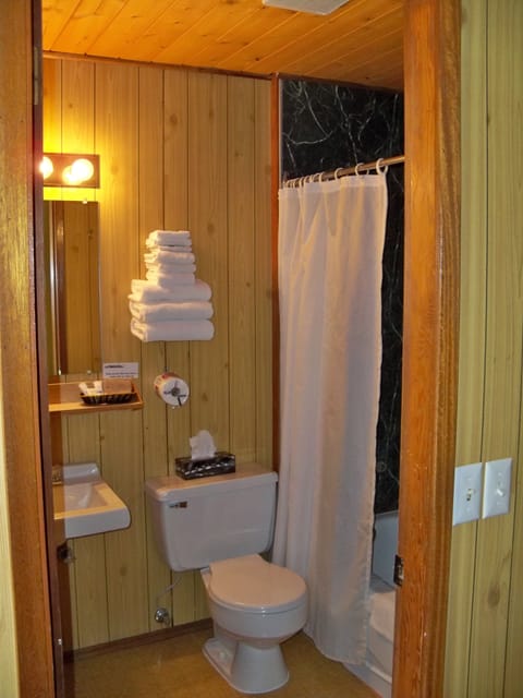 Combined shower/tub, hair dryer, towels