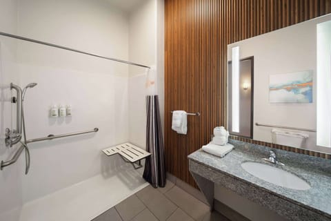 Executive Room, 1 King Bed, Accessible, Non Smoking (Hearing, Mobility Roll-In Shower) | Accessible bathroom