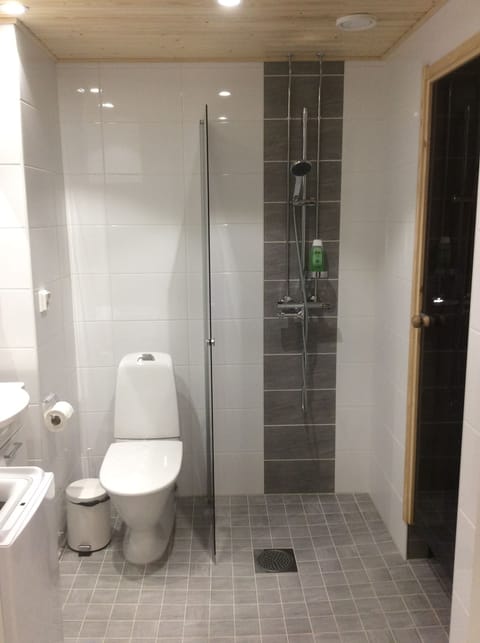 Apartment, Sauna | Bathroom | Shower, hair dryer, bidet, towels