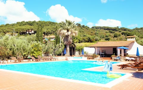 Seasonal outdoor pool, open 9:00 AM to 7:30 PM, pool umbrellas