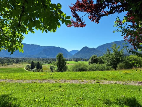 Classic Single Room, Patio, Mountain View | Garden view