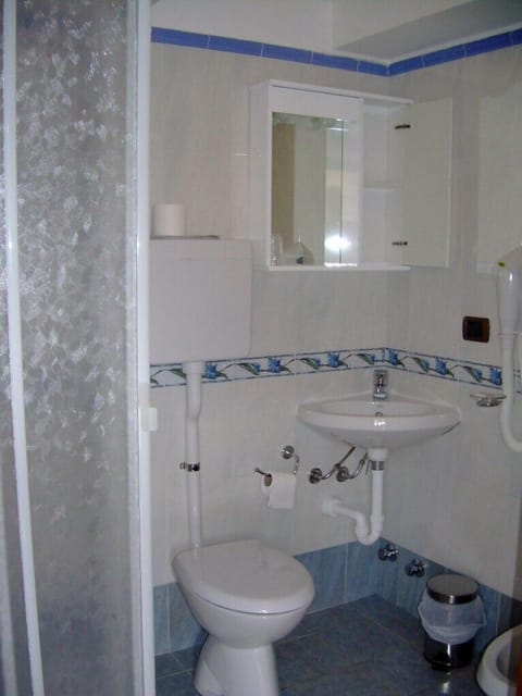 Shower, free toiletries, hair dryer, bidet