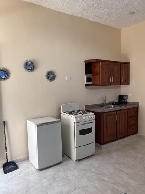 Basic Apartment, 1 Bedroom, Ocean View | Individually furnished, iron/ironing board, free WiFi, bed sheets