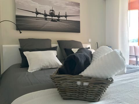 Comfort Double Room, 1 Bedroom, Pool View | In-room safe, individually decorated, individually furnished, free WiFi