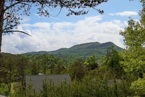 Cabin, Multiple Beds, Hot Tub, Mountain View | View from room