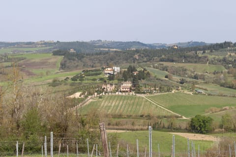 Superior Suite, 2 Bedrooms, Vineyard View (Michelangelo) | View from room