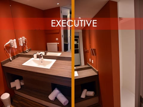 Executive Double or Twin Room | Bathroom | Shower, hair dryer, towels