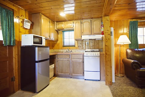 Traditional Cabin, 2 Bedrooms, River View | Private kitchen | Fridge, microwave, oven, stovetop