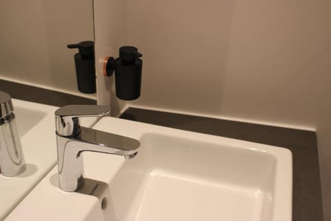 Shower, hydromassage showerhead, hair dryer, towels