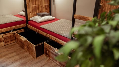 Bunk Bed in 14-Bed Female Dormitory Room | Blackout drapes, free WiFi, bed sheets