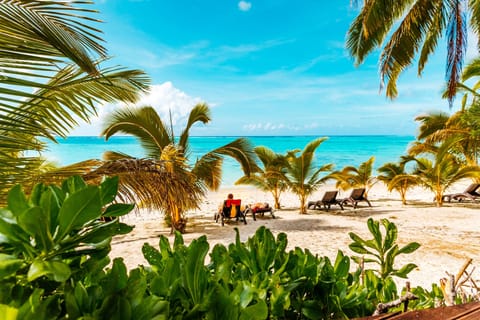 On the beach, white sand, sun loungers, beach towels