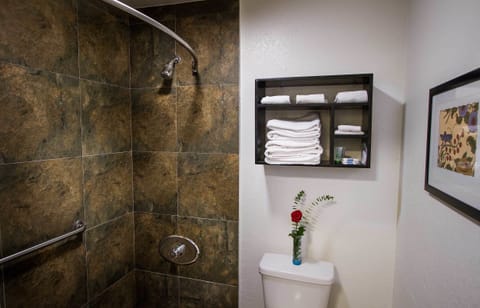 Combined shower/tub, hair dryer, towels