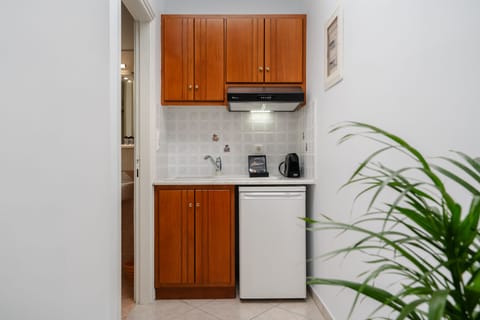 Basic Studio, 1 Double Bed with Sofa bed, City View | Private kitchen | Full-size fridge, oven, stovetop, coffee/tea maker