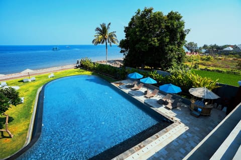 Outdoor pool, sun loungers