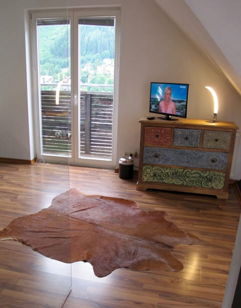 Television