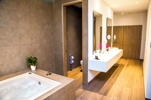 Deluxe Suite | Bathroom | Free toiletries, hair dryer, towels, soap