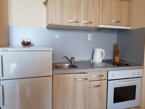 Panoramic Apartment, 1 Bedroom, Balcony, Sea View | Private kitchen | Electric kettle, cookware/dishes/utensils