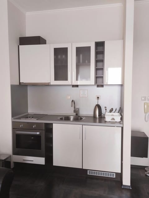 Apartment, 1 Bedroom, Sea View | Private kitchen | Electric kettle, cookware/dishes/utensils