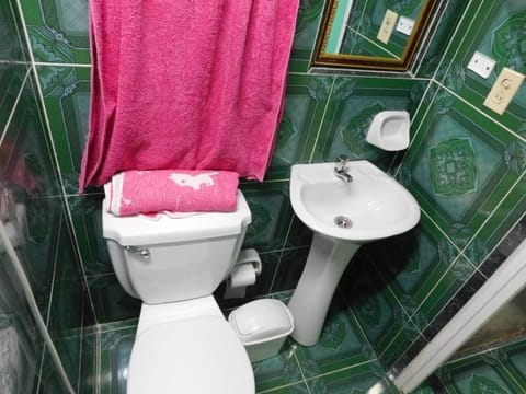 Comfort Triple Room | Bathroom | Shower, hair dryer, towels, soap