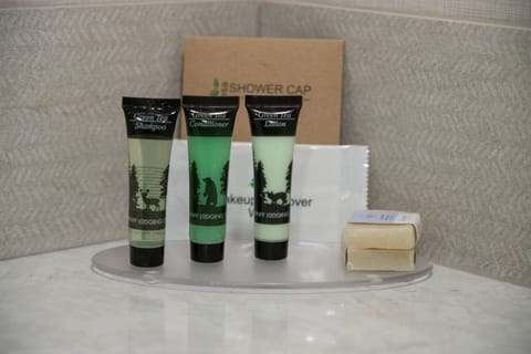 Shower, eco-friendly toiletries, hair dryer, towels