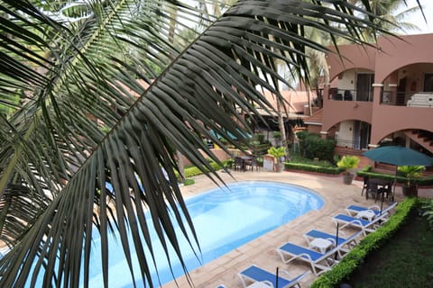 Outdoor pool, sun loungers