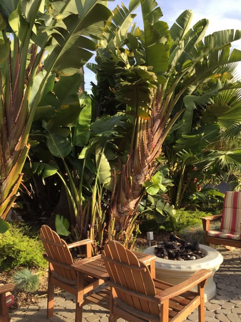 BBQ/picnic area