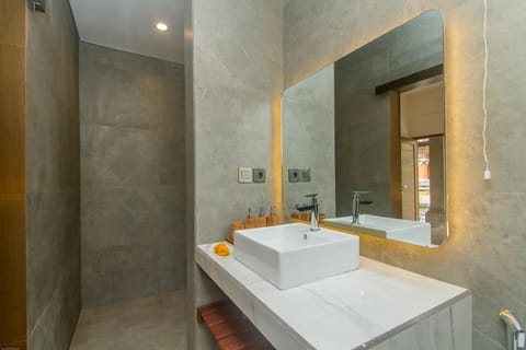 Deluxe Room | Bathroom | Shower, rainfall showerhead, free toiletries, hair dryer