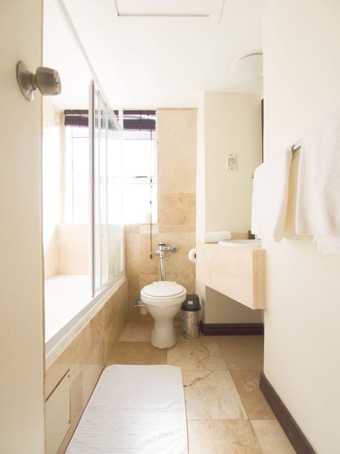 Combined shower/tub, free toiletries, hair dryer, towels