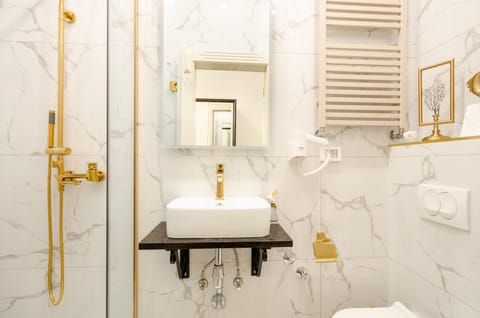 Shower, hydromassage showerhead, designer toiletries, hair dryer