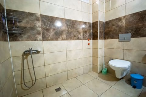 Shower, hair dryer, slippers, bidet