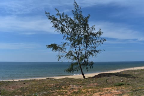 Beach nearby, white sand