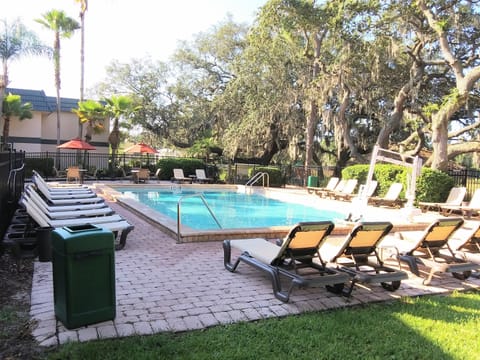 Outdoor pool, pool umbrellas, sun loungers