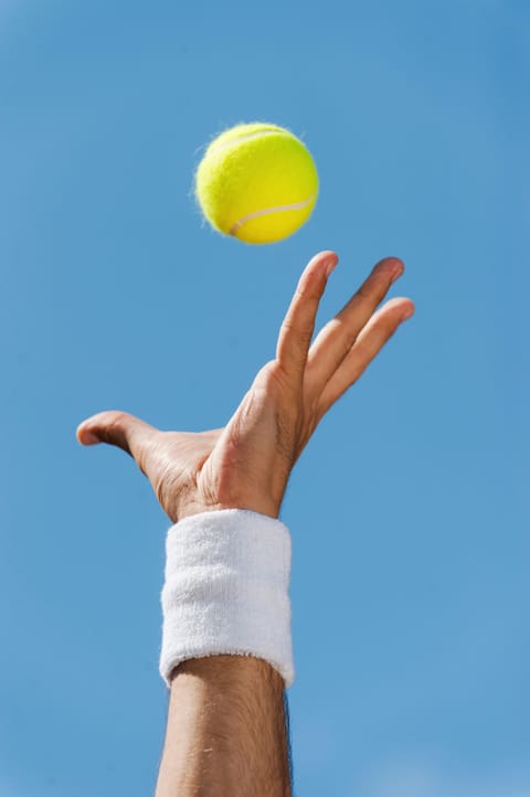 Tennis court