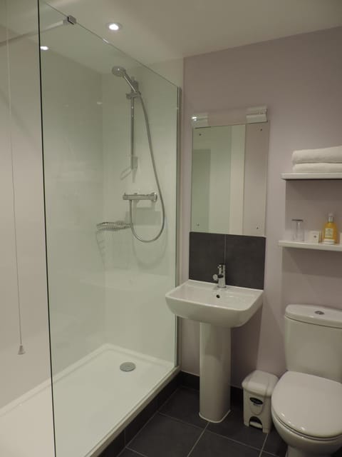 Combined shower/tub, free toiletries, hair dryer, towels