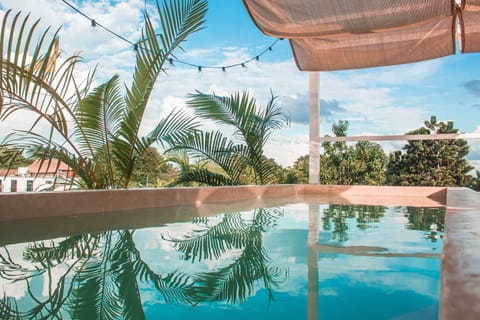 Rooftop pool