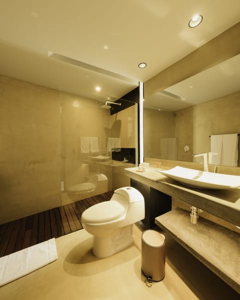 Standard Room, Mountain View | Bathroom | Shower, hydromassage showerhead, eco-friendly toiletries, hair dryer