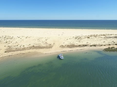 Beach nearby, free beach shuttle, sun loungers, beach umbrellas